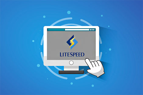 OpenLiteSpeed和LiteSpeed Cache插件提升网站速度