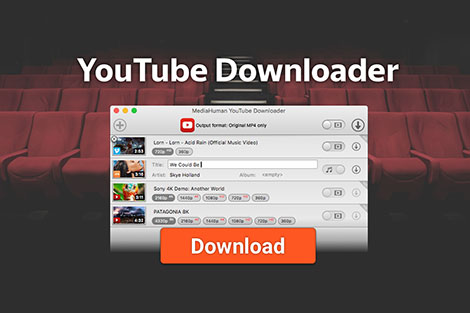 Youtube视频下载工具