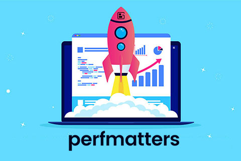 Perfmatters：一个轻量级的WordPress性能优化插件