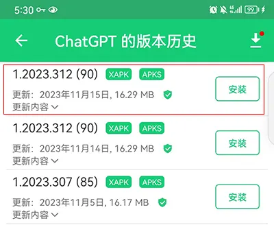 安装11月15这个ChatGPT版本