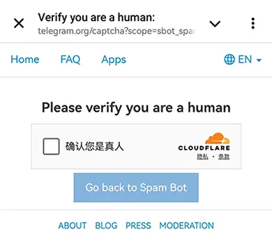 跳到电报官网验证你是人类